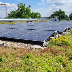 Beispiel für eine Dachbegrünung mit Photovoltaikanlage in Nürnberg  